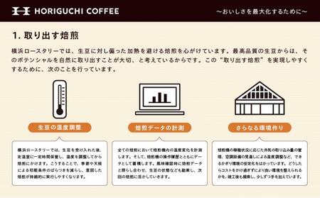 ＜スペシャルティコーヒー＞こだわりの厳選ブレンド3種セット（100g×3種：粉に挽く） AHL0002