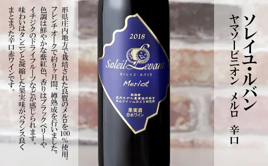 月山ワイン　赤ワイン６本　お楽しみセット　E16-201