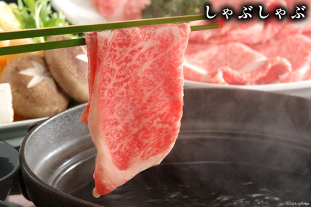 牛肉 【A4～A5】 博多和牛 サーロイン しゃぶしゃぶすき焼き用 300g×2p 計 600g [MEAT PLUS 福岡県 筑紫野市 21760755]