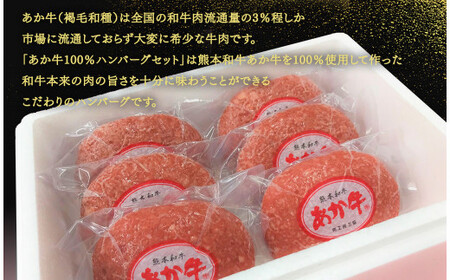 あか牛100％ハンバーグセット 120g×6個 あか牛のたれ200ml付き