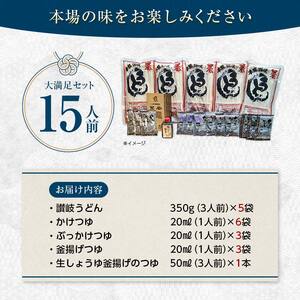 狸屋 讃岐うどん大満足セット 15人前 特製4種のつゆ付き 詰合せ 生うどん カレー つゆ うどん 本場 讃岐 讃岐うどん さぬきうどん ご当地 グルメ 名産品 食品 四国  F5J-203