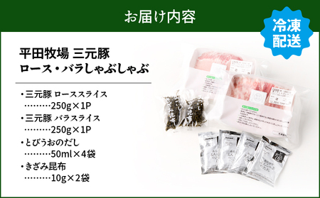 日本の米育ち平田牧場 三元豚ロース・バラしゃぶしゃぶ　各250g（計500g）　T036-007 肉 豚肉