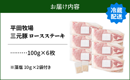 日本の米育ち平田牧場 三元豚ロースステーキ 100g×6枚（計600g）　T036-012 肉 豚肉