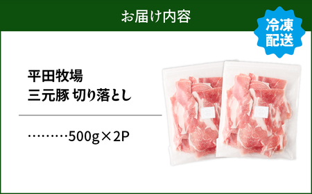 日本の米育ち平田牧場 三元豚切り落とし 500g×2パック（計1kg）　T036-004 肉 豚肉