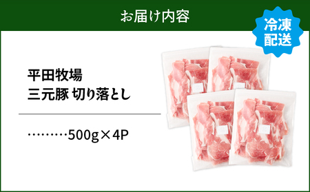日本の米育ち平田牧場 三元豚切り落とし 500g×4パック（計2kg）　T036-005 肉 豚肉