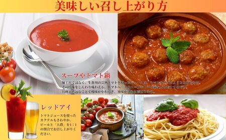 樹上完熟トマトジュース『大農』200ml×12本 完熟 桃太郎ファイト トマトのおいしさギュッと詰まったごくごく飲めるトマトジュース  糸魚川 あぐりいといがわ 糸魚川農業興舎
