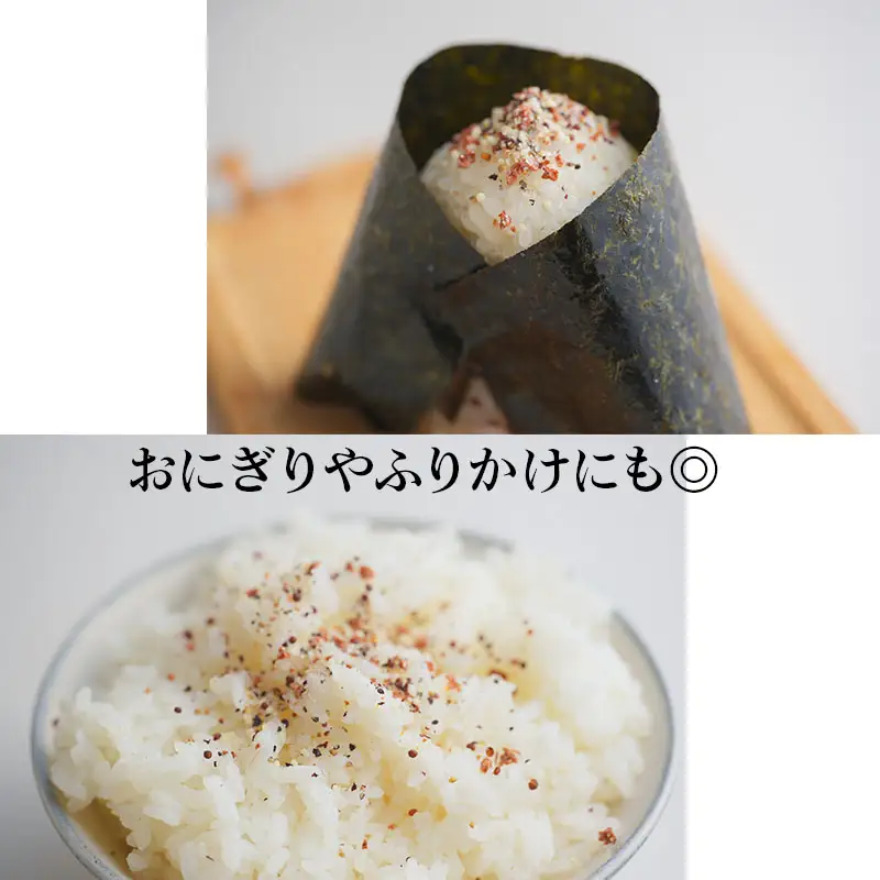 焼き肉専門店 梅じお ガーリック スパイス 90g×3袋 お試し