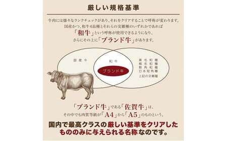 佐賀牛Ａ5ロース　しゃぶしゃぶすき焼き用500ｇ 161-J777
