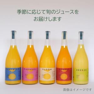 瀬戸内の柑橘100%ストレートジュース旬の大瓶（720ml）2本セット