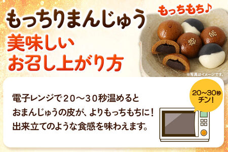 秋田バター餅・もっちり季節まんじゅう セット 各6個入り 佐藤商事　食べ比べ　饅頭