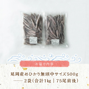延岡産めひかり無頭中サイズ500g×2袋 N0184-YA2267