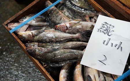 北海道 枝幸町 岩谷さん家の船の 肉厚 ホッケ フライ (1kg) 【 加工食品 白身フライ おかず 惣菜 お弁当 時短 揚げ物 夕飯 魚料理 北海道 オホーツク 枝幸 】