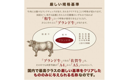 佐賀牛Ａ5ロース　しゃぶしゃぶすき焼き用1kg 161-J778
