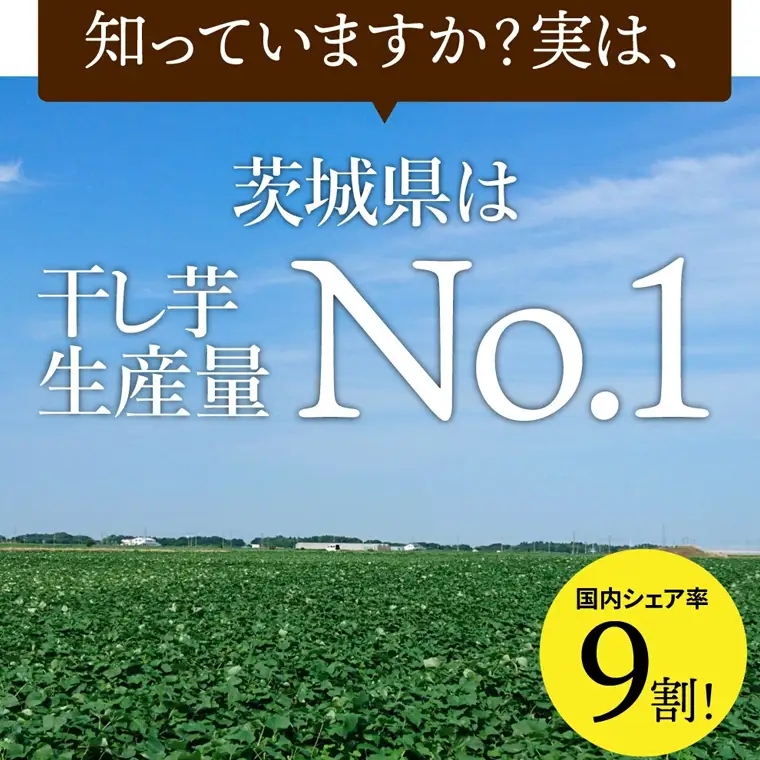 【 定期便 3ヶ月 】 紅はるか 干し芋 標準品 化粧箱入り 1kg 干し芋 芋 イモ 化粧箱 お芋 薩摩芋 さつまいも さつま芋 スイーツ お菓子 菓子 和菓子 グルメ おやつ 茨城県 マツコの知らない世界 [EE010sa]