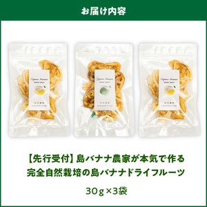 【先行受付】島バナナ農家が本気で作る完全自然栽培の島バナナドライフルーツ30g×3袋（7月中旬～10月中旬頃発送） W029-011u バナナ 加工品
