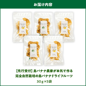 【先行受付】島バナナ農家が本気で作る完全自然栽培の島バナナドライフルーツ30g×5袋（7月中旬～10月中旬頃発送） W029-012u バナナ 加工品