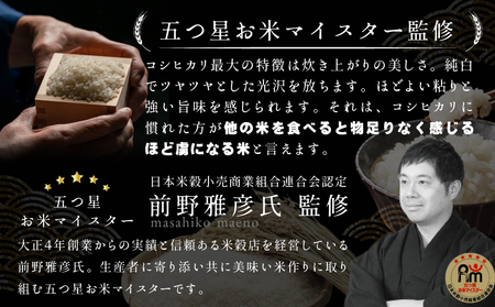 最短翌日出荷!! 令和7年産 茨城県産 コシヒカリ 10kg ( 5kg ×2袋) 
