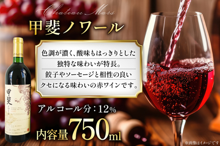 ワイン 赤 飲み比べ  4本 セット ソムリエセレクト 詰め合わせ  [本坊酒造 マルス穂坂ワイナリー 山梨県 韮崎市 20743505] 