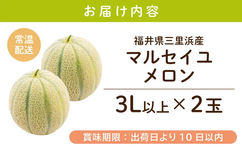 【先行予約】【数量限定】 マルセイユメロン 3Lサイズ以上 × 2玉 【2026年6月上旬より順次発送】 [A-16518]
