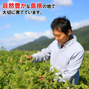 島根県産えごま油3本セット