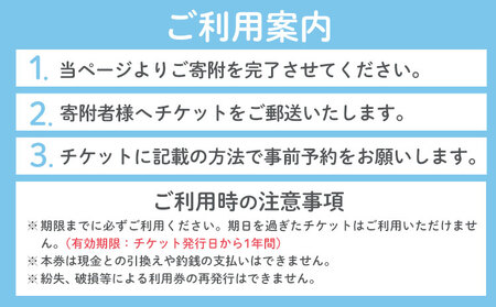 空き家 粗大ゴミ 片付け ハウスクリーニング チケット【3枚セット】1000円×3枚 計3,000円相当分 有限会社クリーンeco《30日以内に出荷予定(土日祝除く)》野木町での空き家片付け、遺品整理、不用品回収で使える