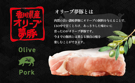 【 小豆島 】小豆島製麺所のおやじが造ったカレーうどんの素 ３個セット（３人前） うどん 饂飩 ウドン カレーうどん カレー 素 レトルト レトルト食品 うどんつゆ つゆ 和風だし 香川 香川県 土庄 土庄町