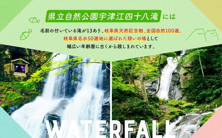 入浴・食事・リラクゼーション・岩盤浴・キャンプ(バンガロー)共通利用券【四十八滝温泉しぶきの湯＋キャンプ場】飛騨国府観光株式会社 EL001