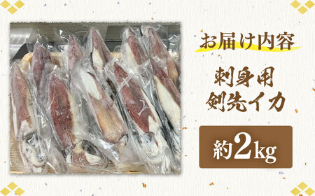刺身用 剣先イカ 約2kg（急速冷凍）《壱岐市》【魚助】 イカ いか 剣先いか ケンサキイカ刺し身 鮮魚 海鮮 [JFX001]