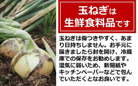 【先行予約・令和8年6月発送予定】おいしいね 新玉ねぎ サイズ無選別 8kg[ZA130]