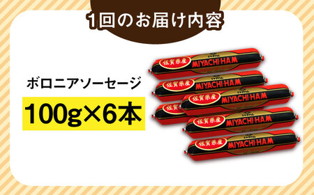 【3回定期便】宮地ハムのロングセラー ボロニアソーセージ 100g×6本 /宮地ハム [UBM011] ソーセージ