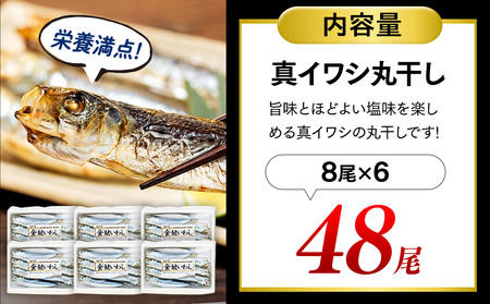 いわし 丸干し 48尾 (8尾×6パック) 干物 冷凍 小分け 愛知県 南知多町 ご飯 ごはん おかず おつまみ 魚 イワシ 国産