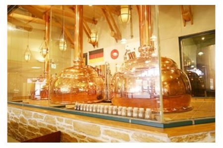 ＜本場ドイツ仕込み＞やくらいクラフトビール「黄金色ラガービール」ピルスナー(330ml×6本入) [加美町振興公社 宮城県 加美町 44581319] 44581319