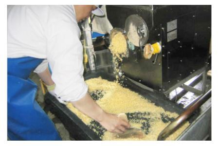 [発芽玄米] 宮城県産ひとめぼれ発芽玄米1kg×6回定期便 菅原商店