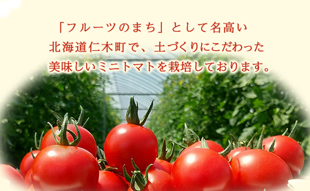 [先行受付/2026年産][栽培期間中 農薬・化学肥料不使用] 北海道 仁木町産 ミニトマト エコスイート 1.2kg×8箱 サイズ混載 トマト野菜 やさい  [Farm Watanabe]
