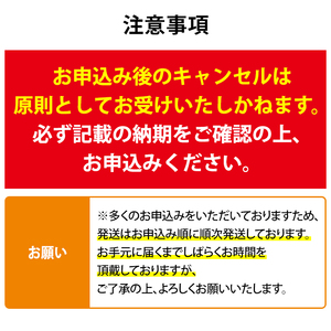 【0104347a-2608】＜8月上旬発送予定＞東串良町のうなぎ蒲焼(無頭)(2尾・計約300g・タレ、山椒付) うなぎ 高級 ウナギ 鰻 国産 蒲焼 蒲焼き たれ 鹿児島 ふるさと 人気【アクアおおすみ】