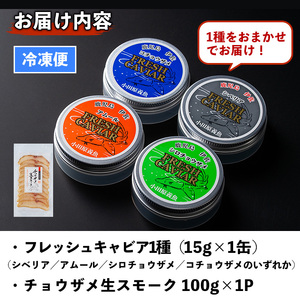 isa557 〈毎月数量限定〉おまかせフレッシュキャビア(15g×1種)＆チョウザメスモーク(100g×1P)セット国産 詰合せ 魚卵 白身 おつまみ 世界三大珍味 加工品 冷凍 冷凍便 セット【小田原養魚】