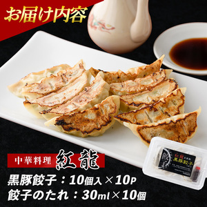 黒豚 餃子 10個入×10パック 地元の中華料理店で人気 紅龍 IB131-003 餃子 餃子 