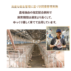 平野協同畜産「麦豚」焼肉3種食べ比べ 600g（200ｇ×3パック） 3～4人前 麦豚 四万十ポーク 四万十 高知 Ahc-08