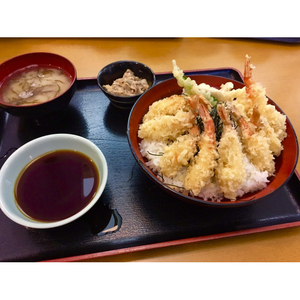 【23003】鳥取網代港 ≪幻のエビ≫朝獲れ！活モサエビ【さかなや新鮮組】発送は2026年2月～