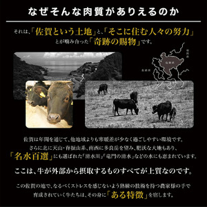 佐賀牛ヒレサイコロステーキ800ｇ 161-J785