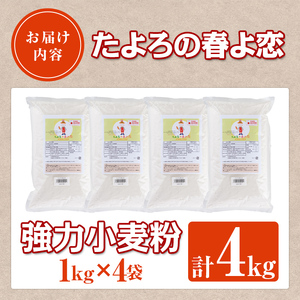 【B7028】＜北海道士別市産小麦＞ たよろの春よ恋 強力粉 ( 1kg×4袋・計4kg) 小麦 小麦粉 強力粉 春よ恋 北海道産 士別市産 国産 国産小麦粉 パン お菓子 料理 1kg【たよろ春小麦の会】