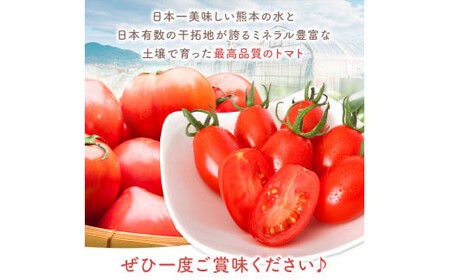 ミニトマト生産量 日本一 玉名市 !！ 「 トマ・ランタン 」 約 2kg | ミニトマト トマト 熊本県 玉名市