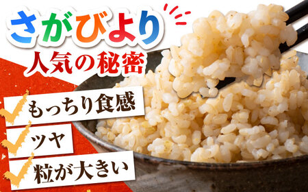 令和7年産 特別栽培米「さがびより」玄米 5kg  [HAG027]特A米 特A評価