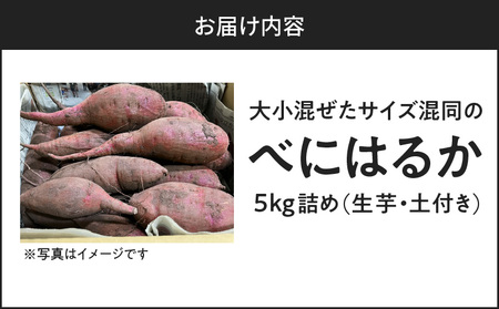 サイズバラバラ熟成べにはるか（生芋）土付き 5kg K270-001