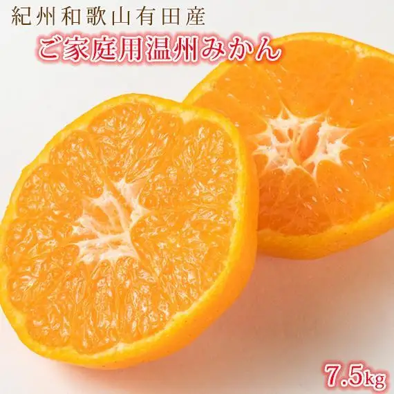 ［2・8・12月 全3回］訳アリ 紀州産 ぶどうと柑橘の定期便（ぶどう・みかん・不知火） ［魚鶴商店］