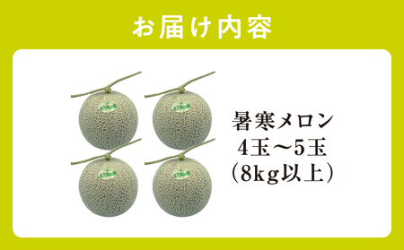 北海道産 暑寒メロン 4～5玉 (8kg以上×1箱) 2026年7月発送青肉 果物 フルーツの王様 春 夏 秋 冬 御中元  フルーツ 生ハム パフェ ケーキ デザート ピューレ めろん さっぱりした甘み お取り寄せ 北海道 雨竜町