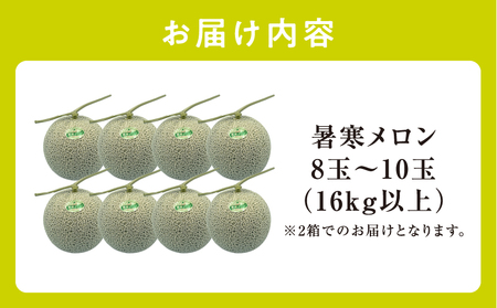 北海道産 暑寒メロン 8～10玉 (8kg以上×2箱) 2026年7月発送 青肉 果物 フルーツの王様 春 夏 秋 冬 御中元  フルーツ 生ハム パフェ ケーキ デザート ピューレ めろん さっぱりした甘み お取り寄せ 北海道 雨竜町