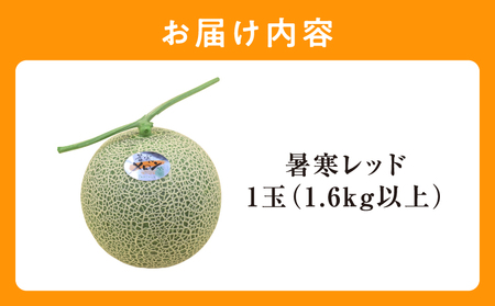  北海道メロン 暑寒レッド 1玉 ( 1.6kg以上×1箱 )  2026年9月発送  赤肉  果物 フルーツの王様 春 夏 秋 冬 御中元 フルーツ 生ハム パフェ ケーキ デザート メロン ピューレ めろん さっぱりした甘み お取り寄せ 北海道 雨竜町