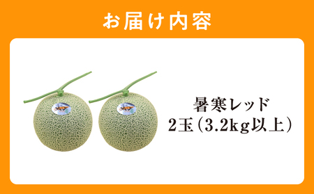北海道メロン 暑寒レッド 2玉 (3.2kg以上×1箱) 2026年9月発送赤肉  果物 フルーツの王様 春 夏 秋 冬 御中元 フルーツ 生ハム パフェ ケーキ デザート メロン ピューレ めろん さっぱりした甘み お取り寄せ 北海道 雨竜町 送料無料