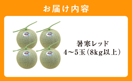 北海道メロン 暑寒レッド 4～5玉 (8kg以上×1箱) 2026年9月発送赤肉  果物 フルーツの王様 春 夏 秋 冬 御中元 フルーツ 生ハム パフェ ケーキ デザート メロン ピューレ めろん さっぱりした甘み お取り寄せ 北海道 雨竜町 送料無料